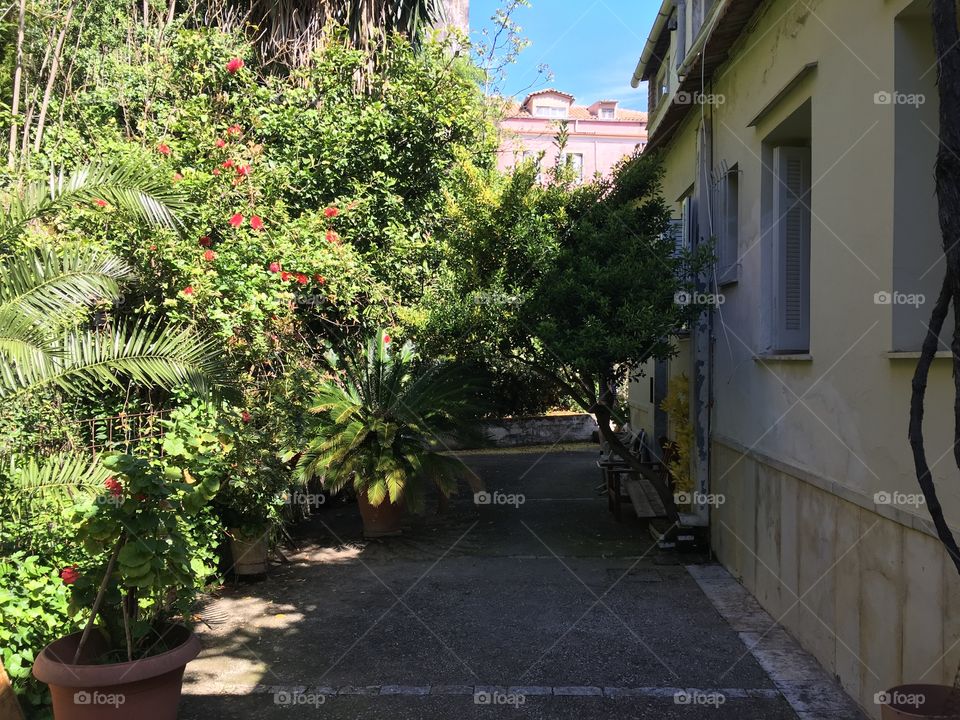 Traditional garden and house in Corfu Town, Greece