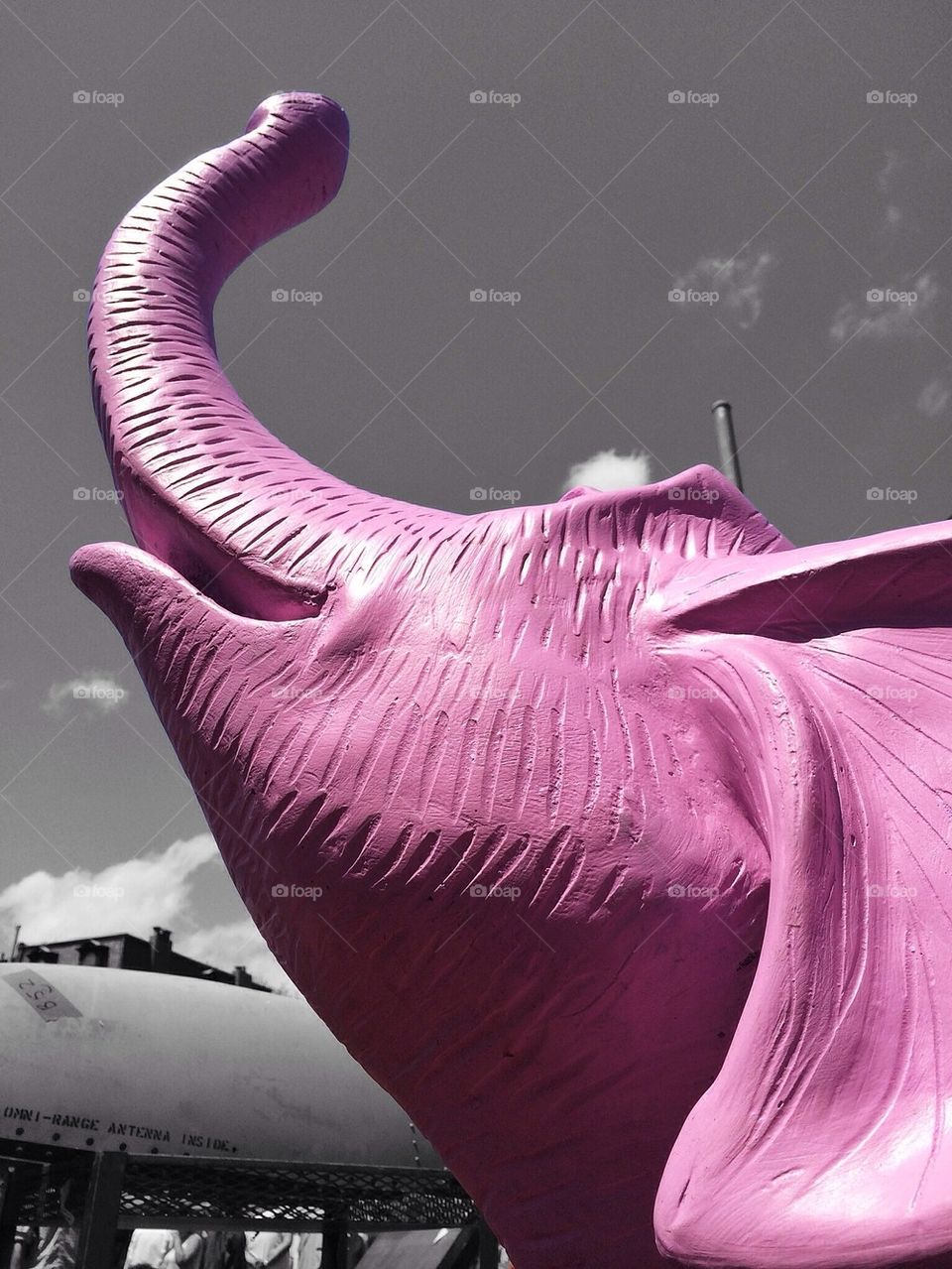Pink elephant