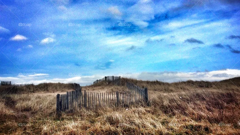Sand Dunes