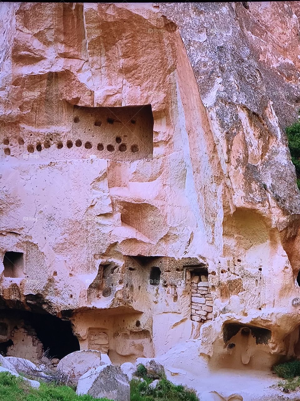 Awesome Turkey Mount