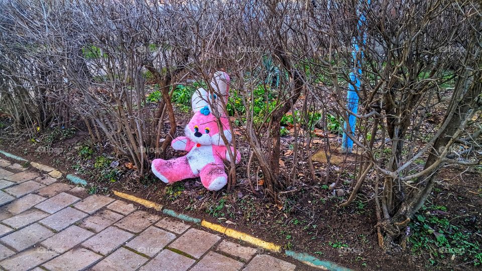 the toy rabbit in the bushes