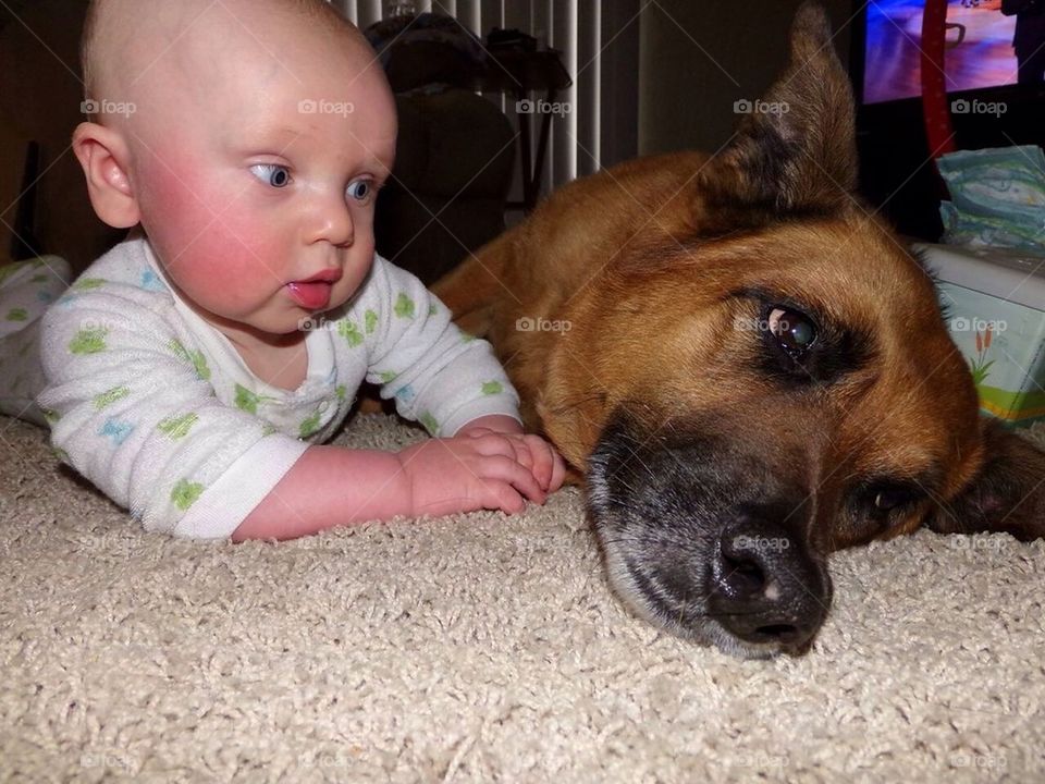 Baby with doggie