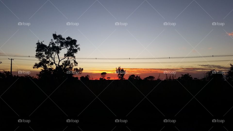 Sunset, Landscape, Tree, Dawn, Silhouette