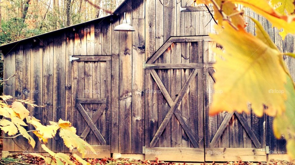 Barn in Autumn