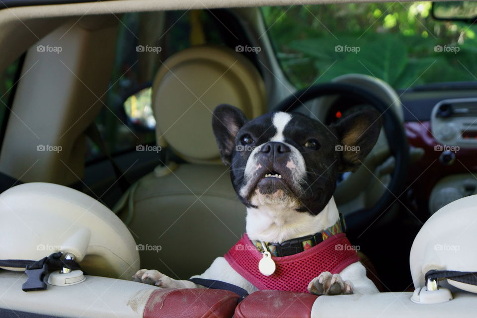 Trying to say something