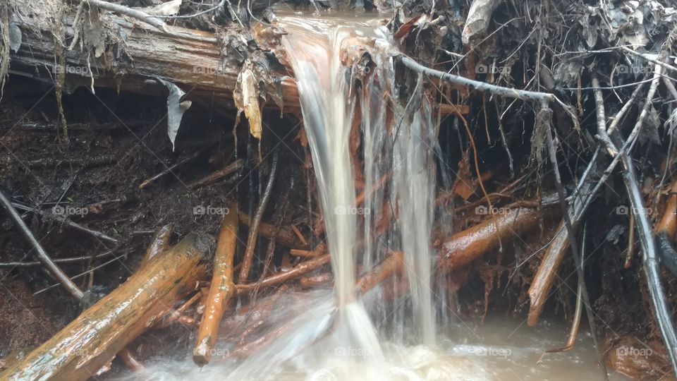 Nature, Water, No Person, Wood, Wet