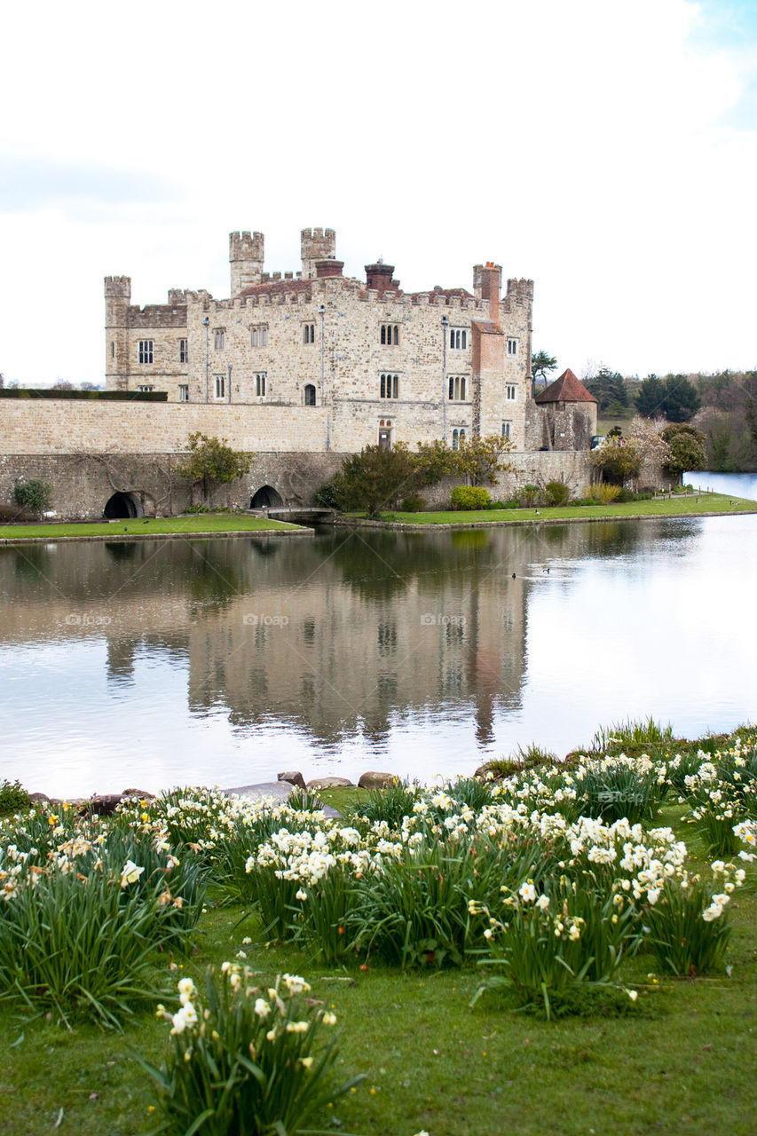 Leeds castle surrounded by the grass