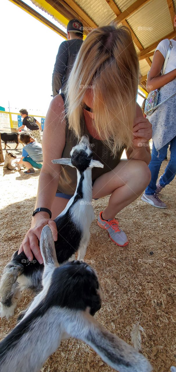 Woman petting a baby goat