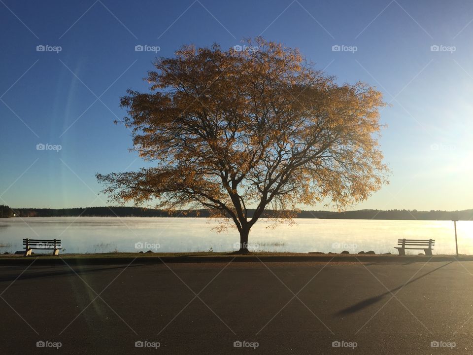Massabesic Lake Auburn, NH