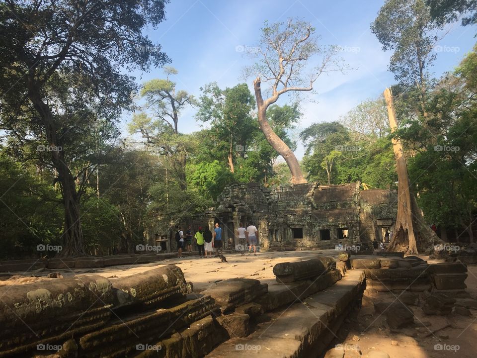 Cambodian Ruins of a Hindu Temple from The 12th Century, with Nature side by side. 