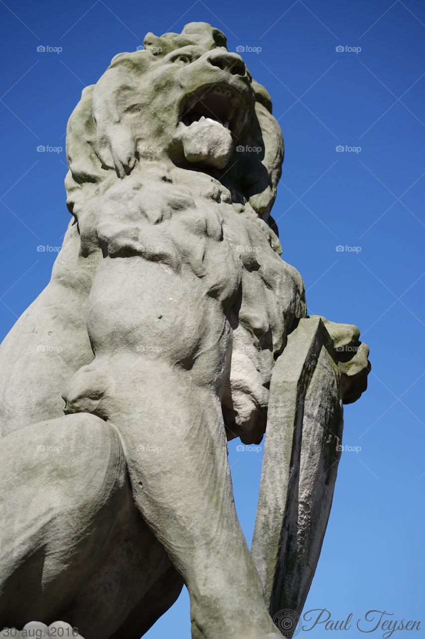 Lion in Antwerp
