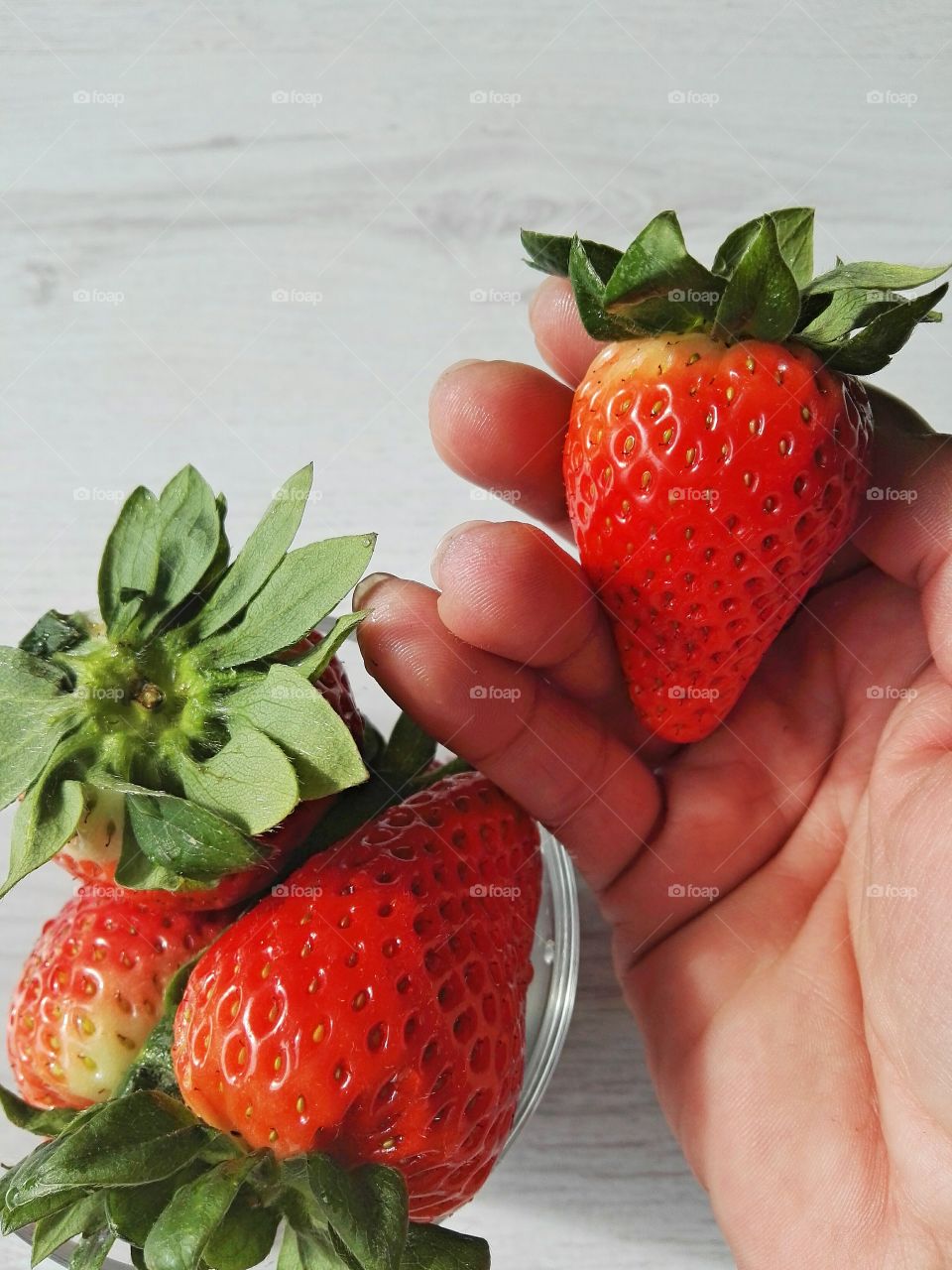 fresh red strawberries