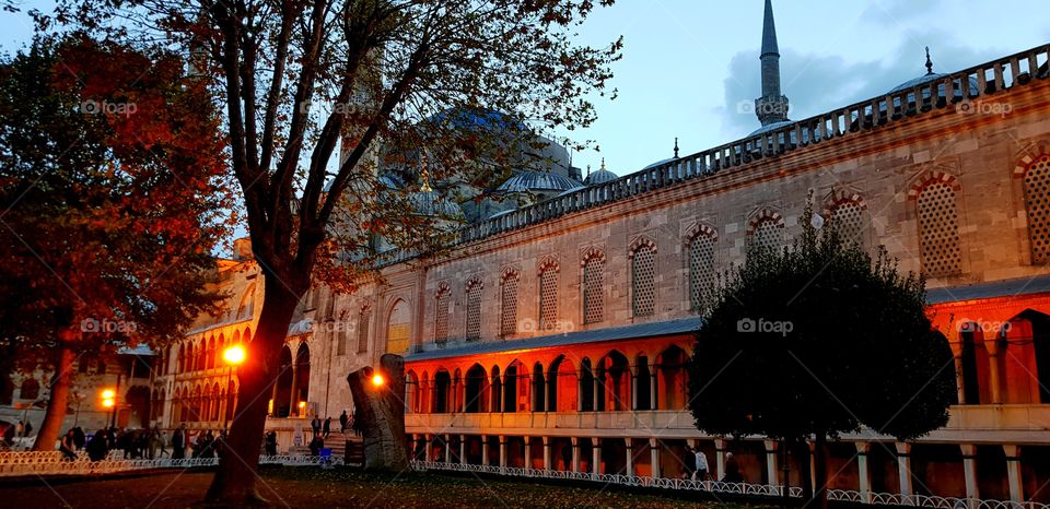 Hello
Please like my pictures and follow me
Thank you