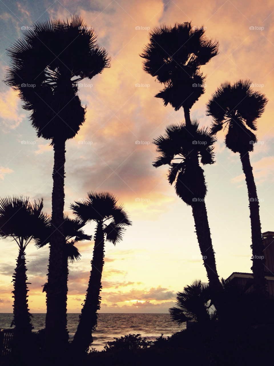 beach sunset clouds evening by ninjacentral