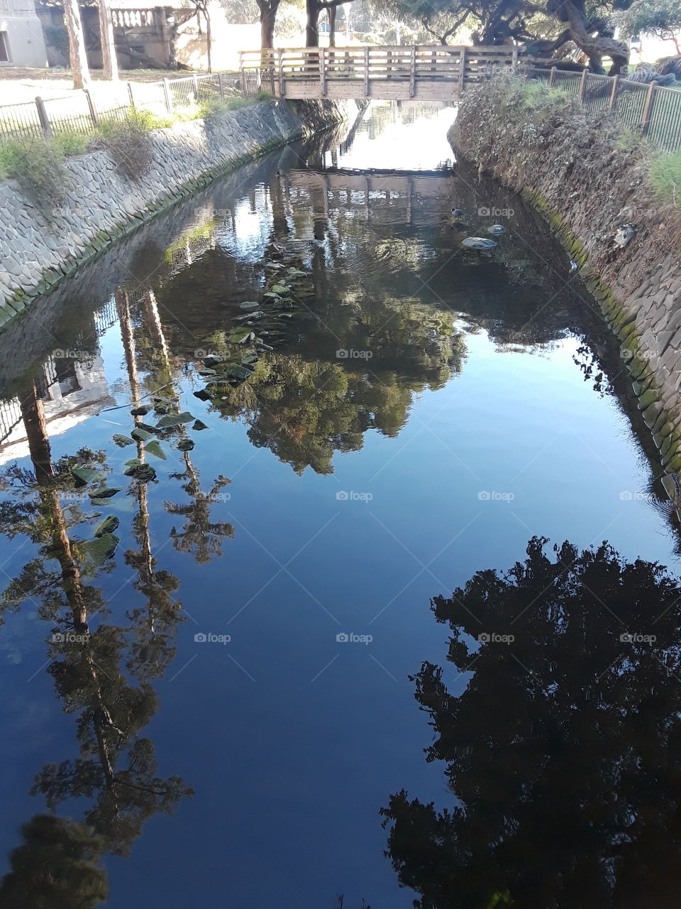 Water, Reflection, River, No Person, Tree