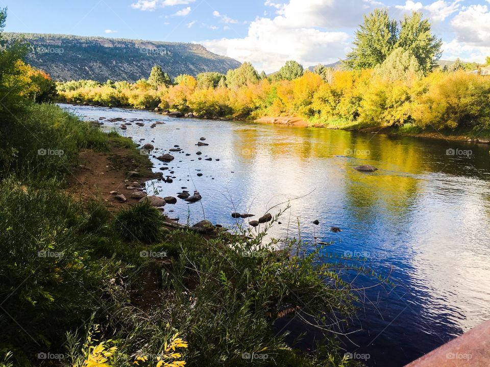 River in fall