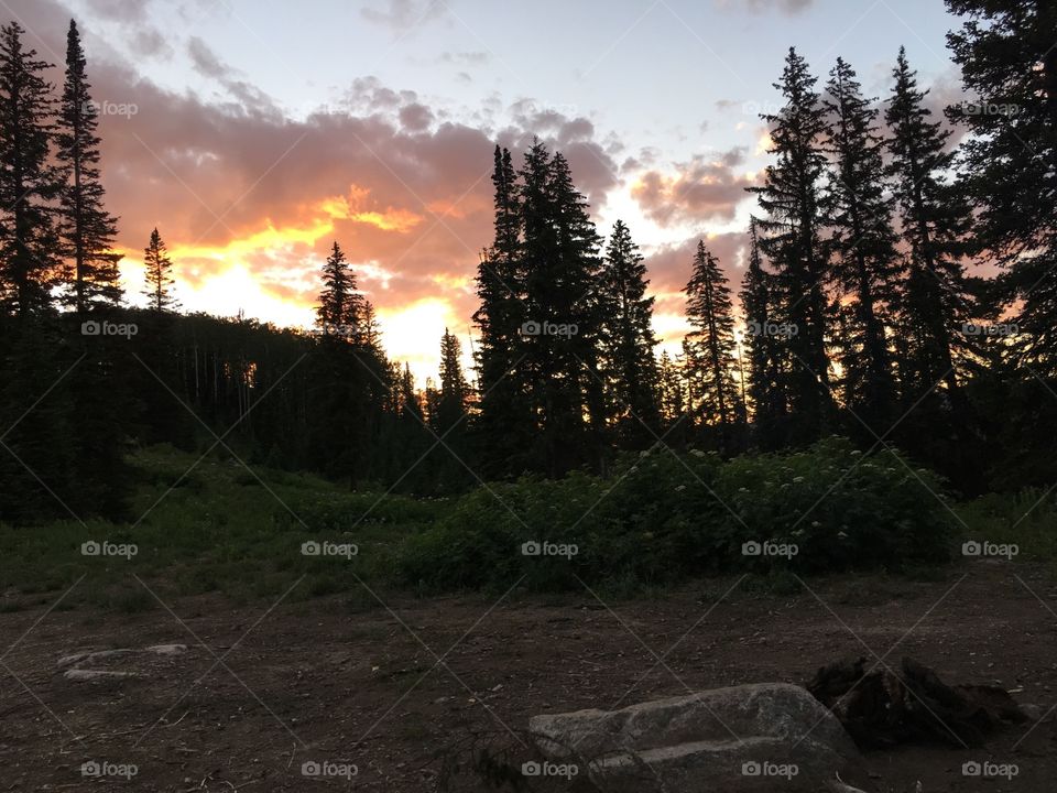 Camping sunset. Buffalo pass. 