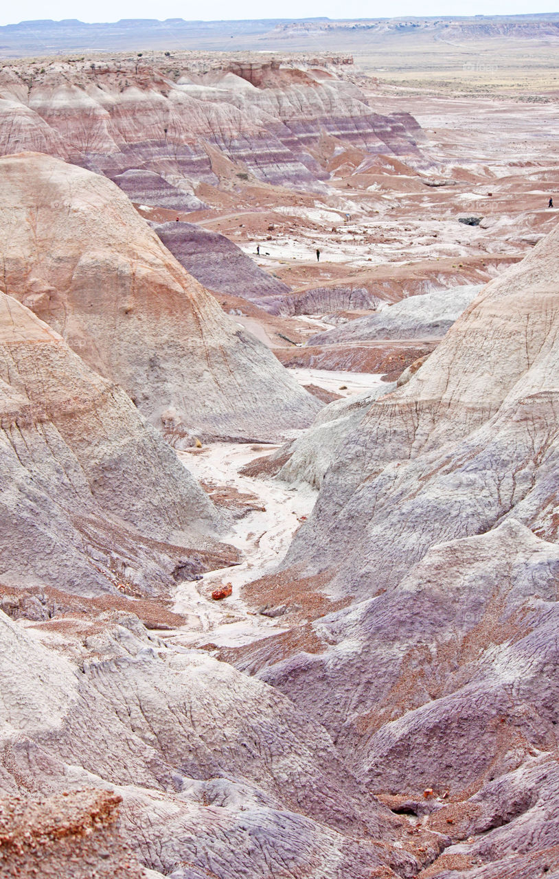 Painted desert 