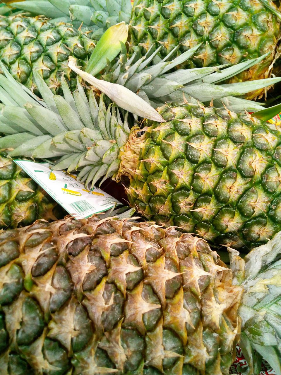 Picking out some Delicious Pineapples to make some Pineapple upside down cake.