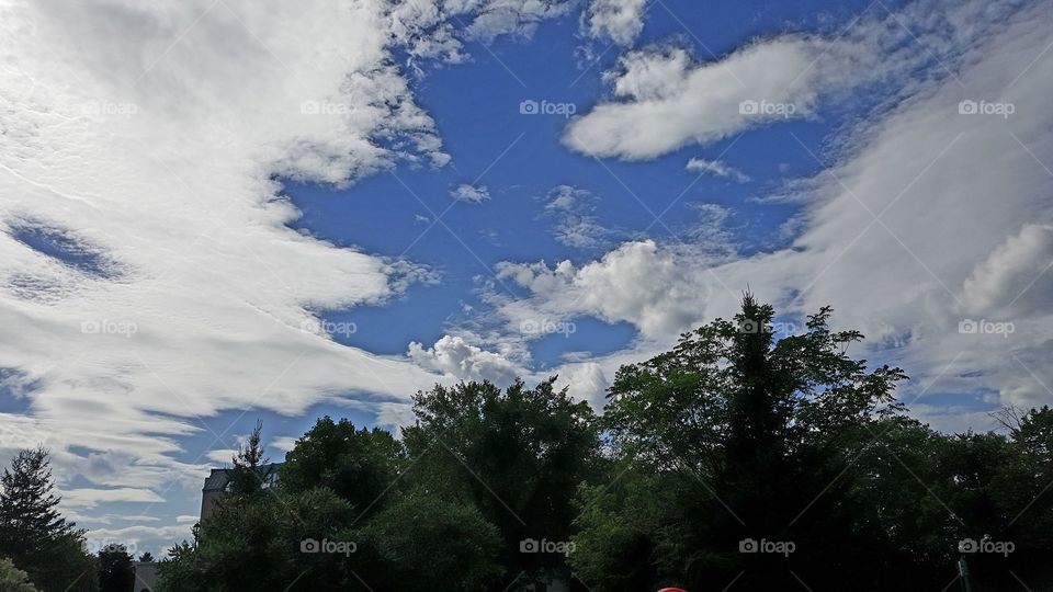 clouds and trees