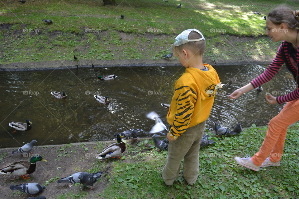 children and birds in the summer city park, family time