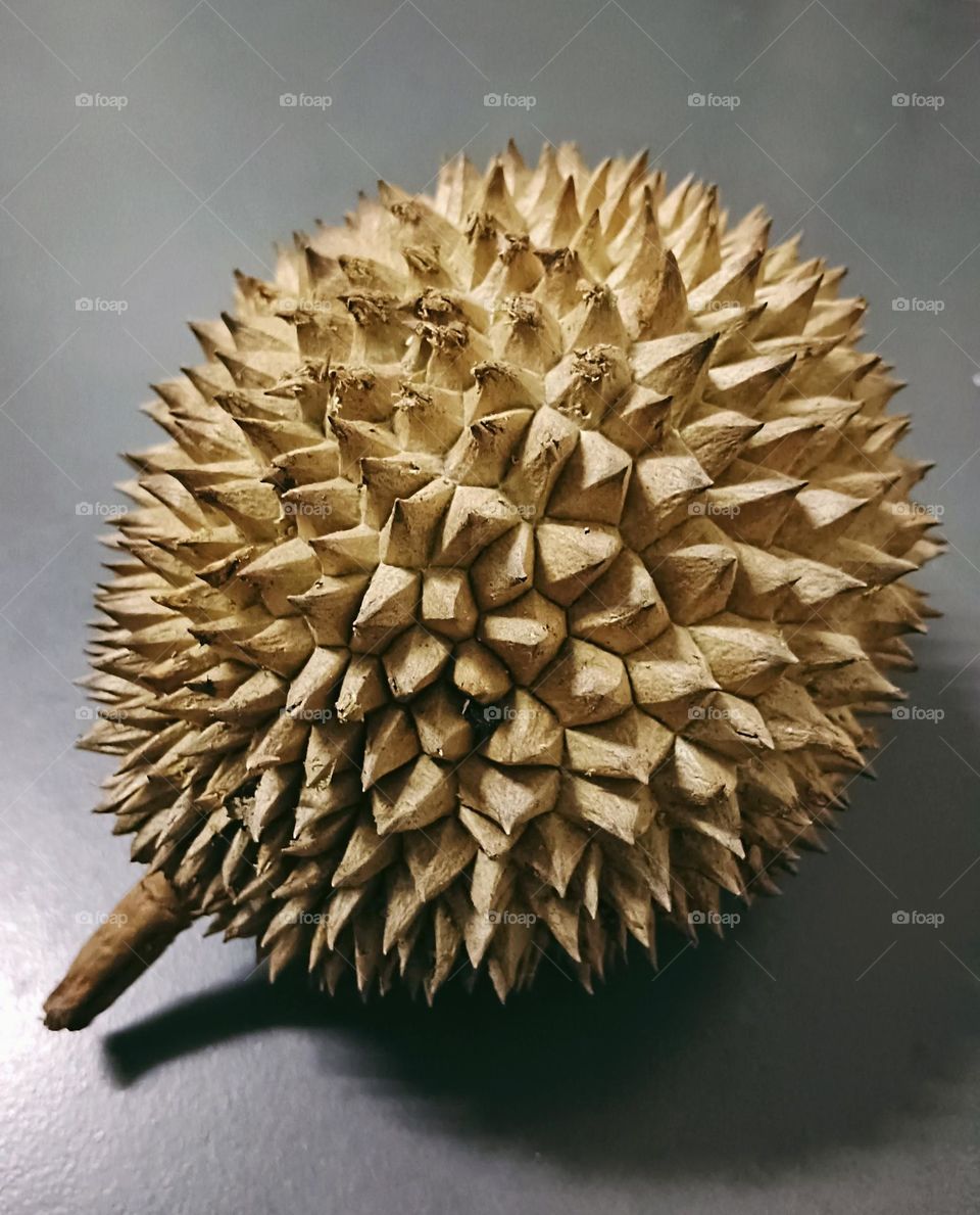 Durian fruit from south east Asia