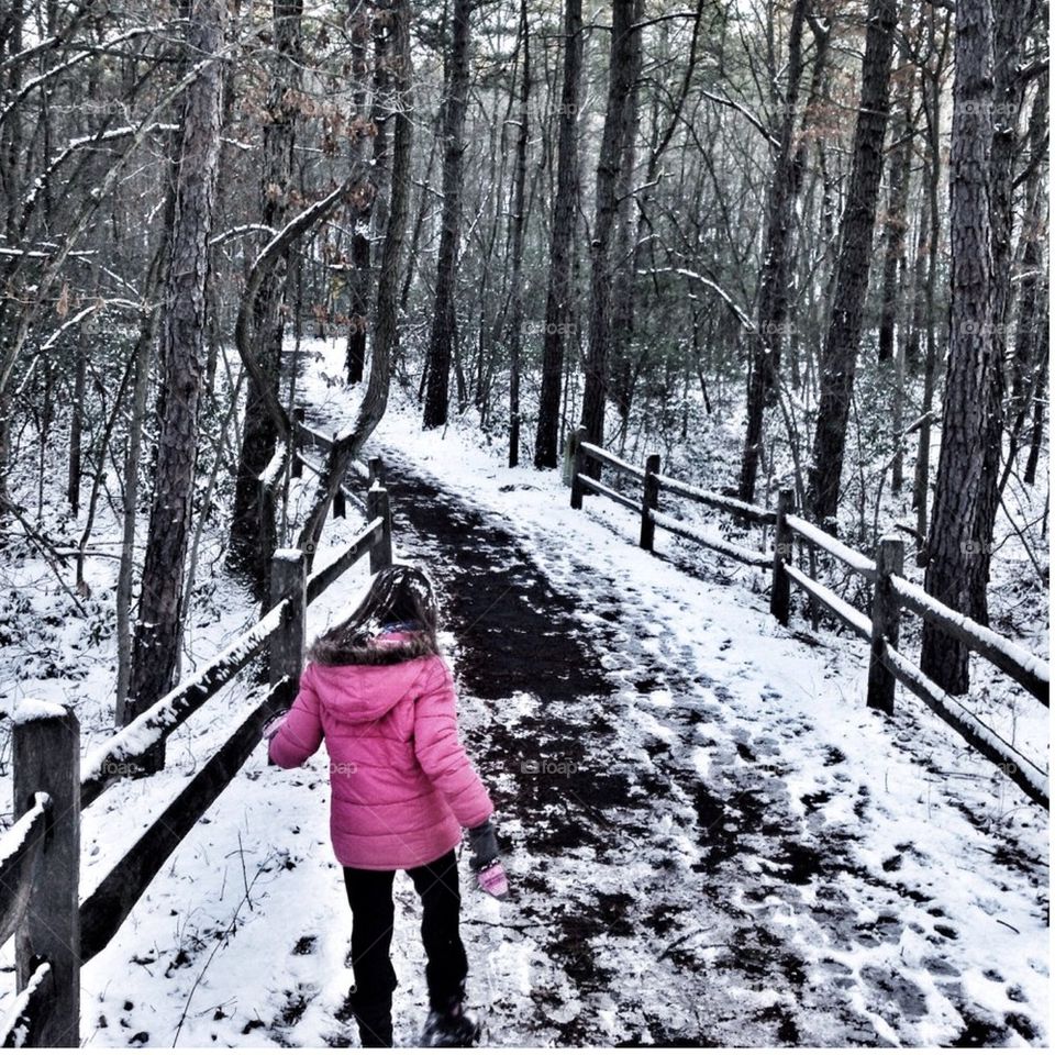 Snowy Path in the Woods
