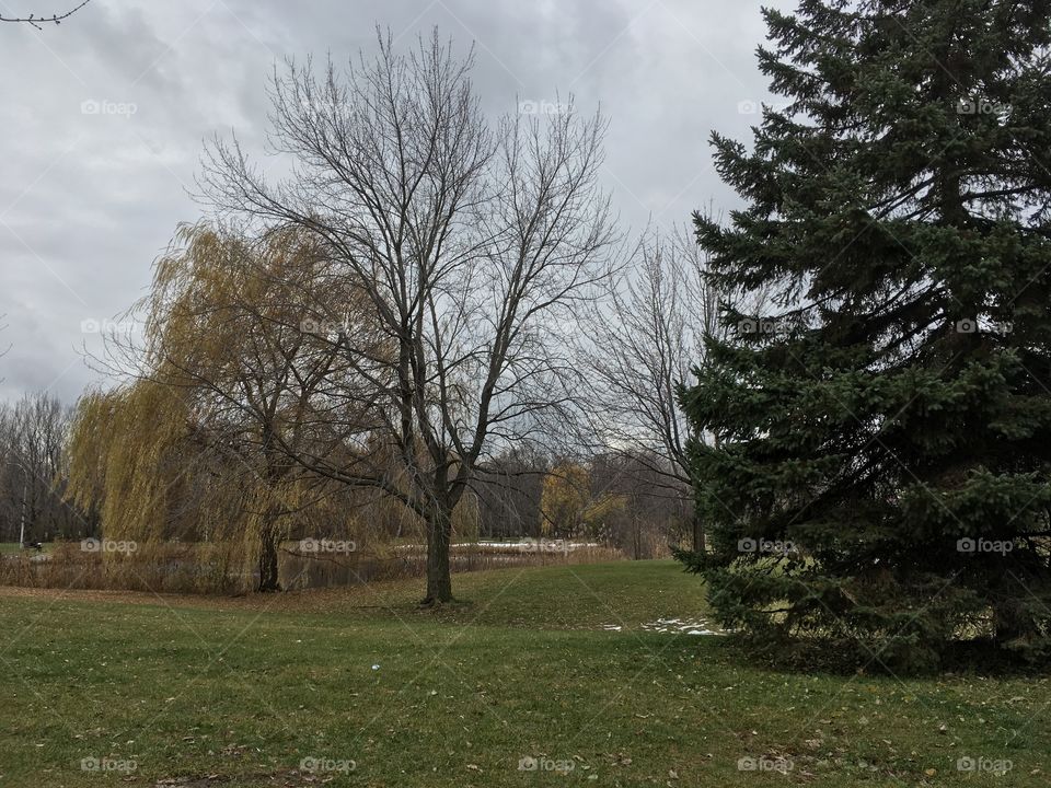 Cloudy day at the park
