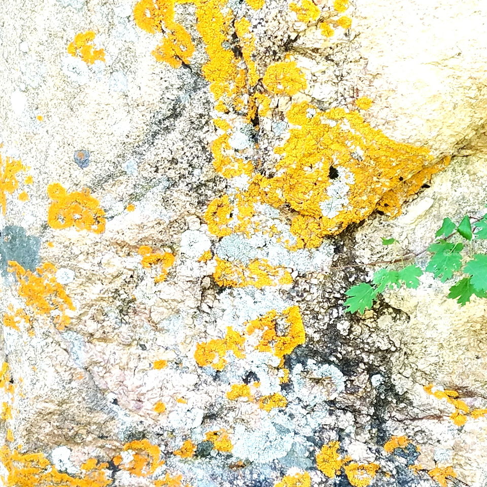 Desktop, Texture, Abstract, Wall, Old