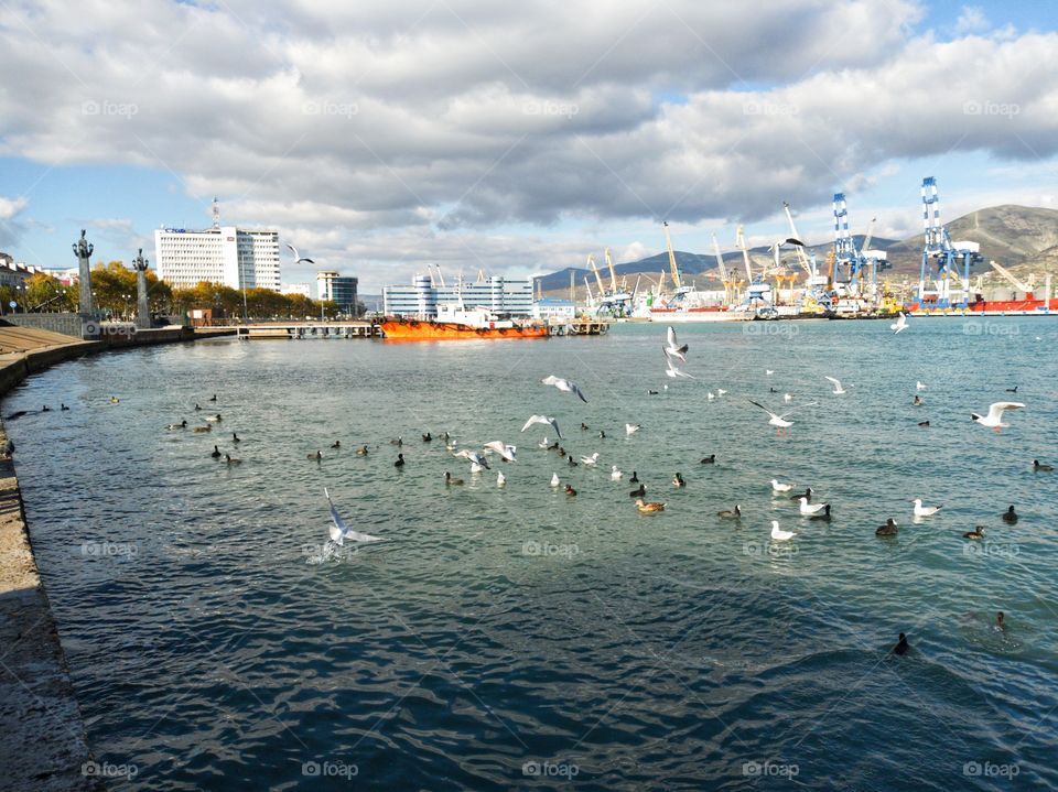 The embankment of the sea. Part of the city is visible. Ducks swim in the sea. Gulls fly. In the background, the port, sea transport. Mountain range.