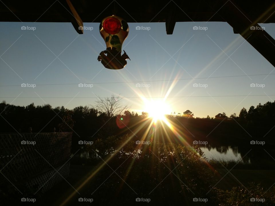 sunset, lake, bird feeder, sun burst, reflection, dawn, porch swing