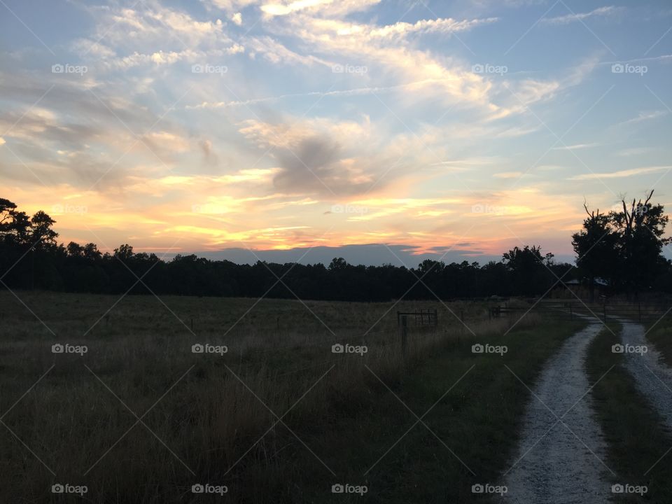 Farm sunset