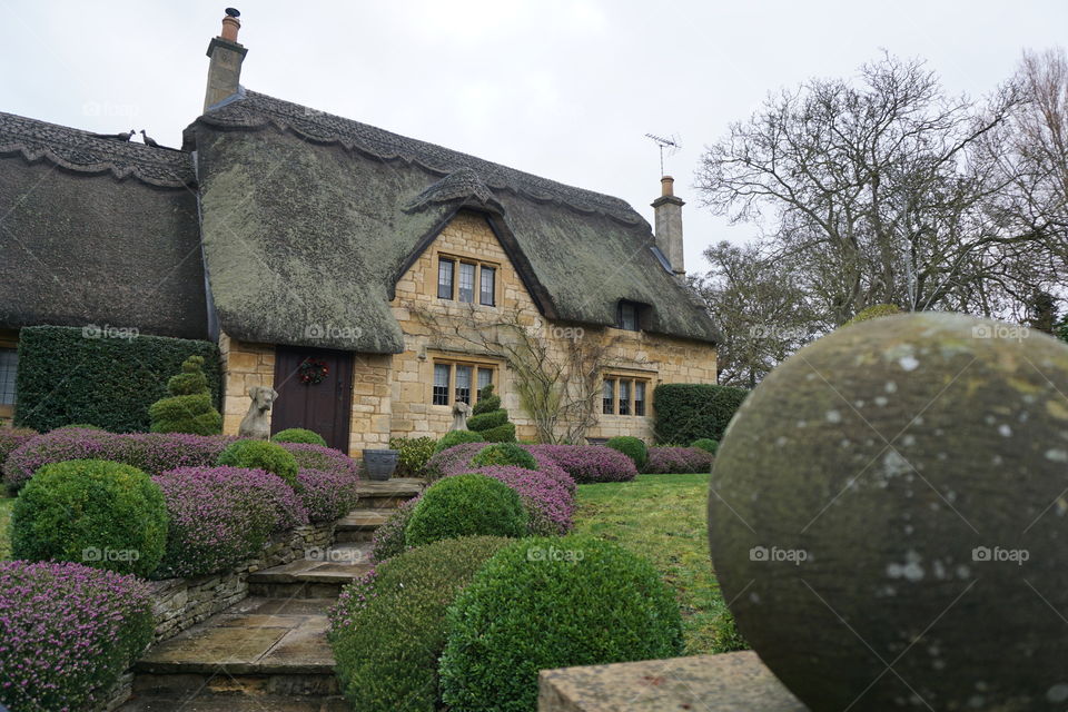 Pretty English Thatched Cottage  Winter Garden 