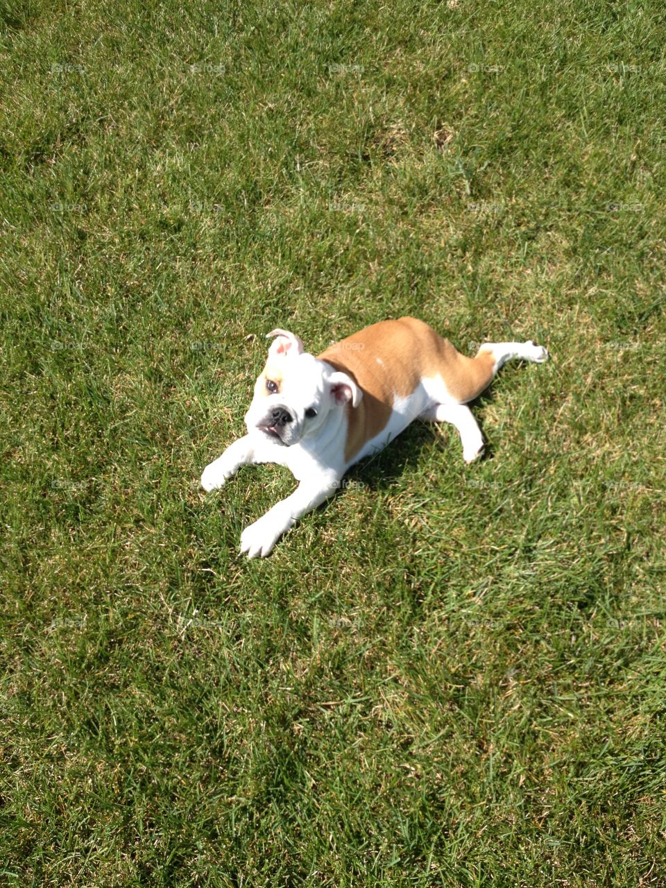 When she doesn't want to come in from outside.  