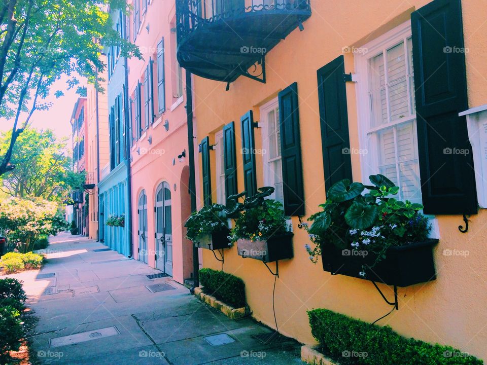 Rainbow row windows