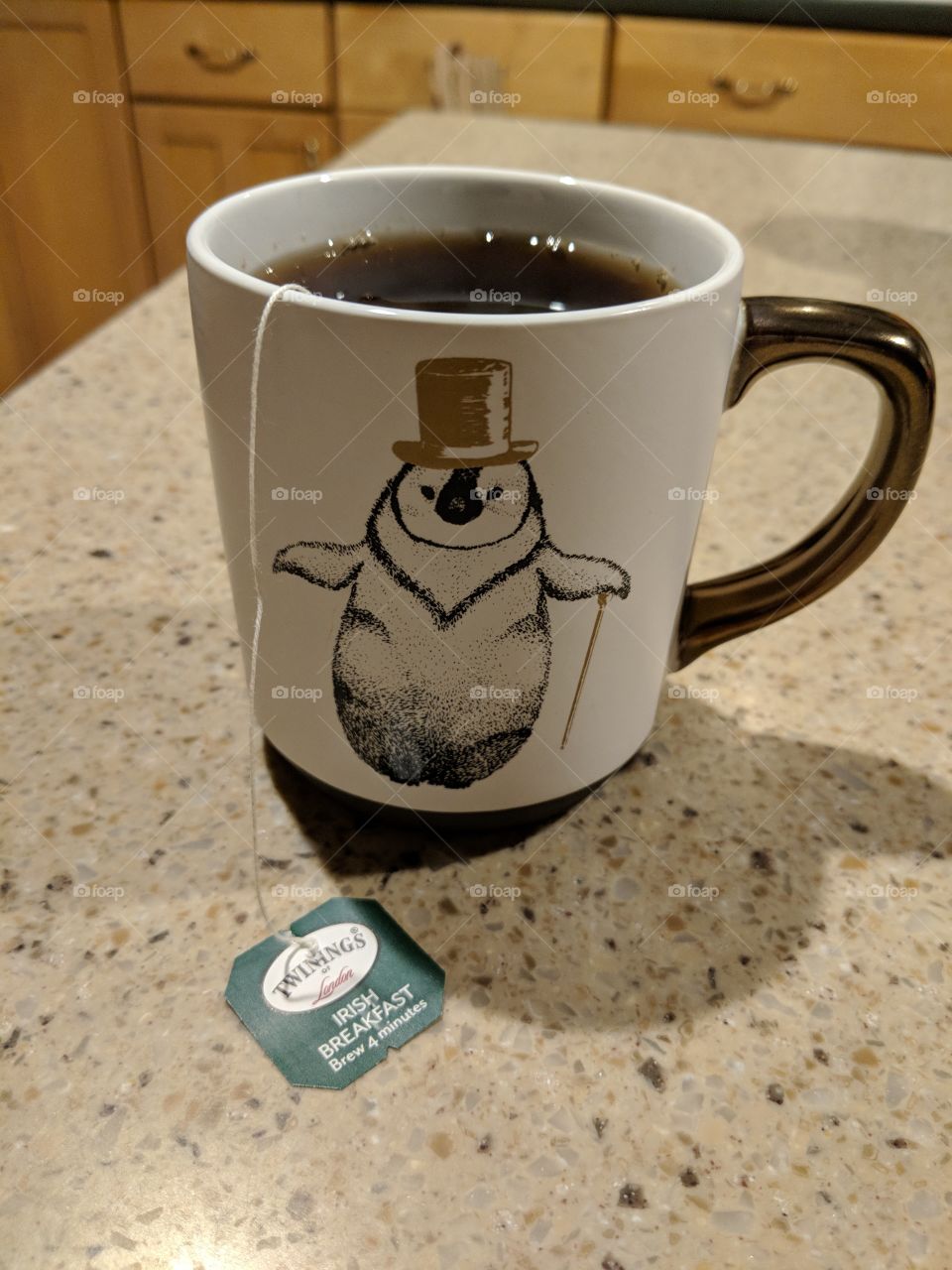 Morning cup of tea with a fancy penguin
