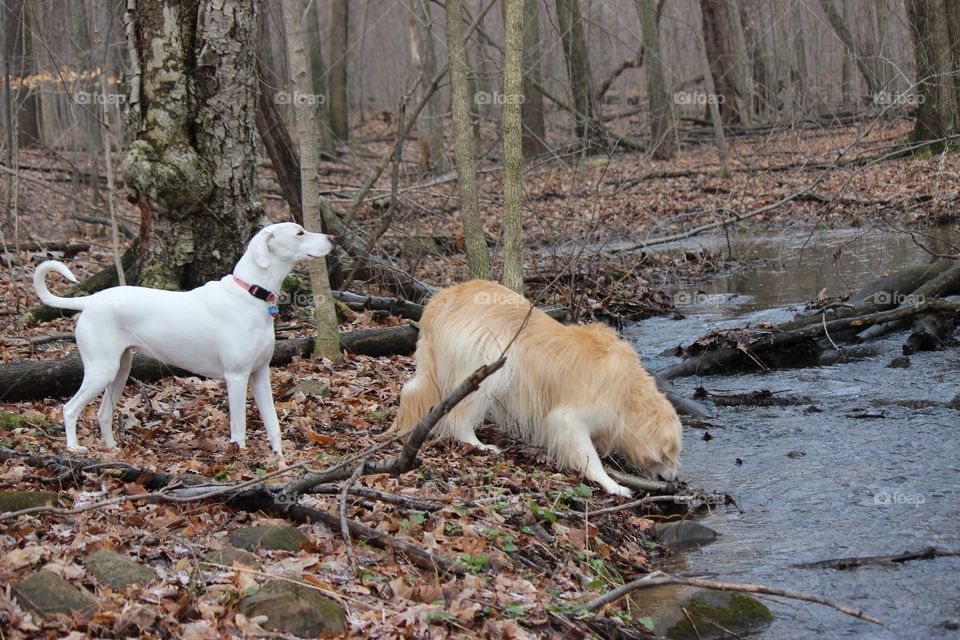 Something in the air? Or something in the water?