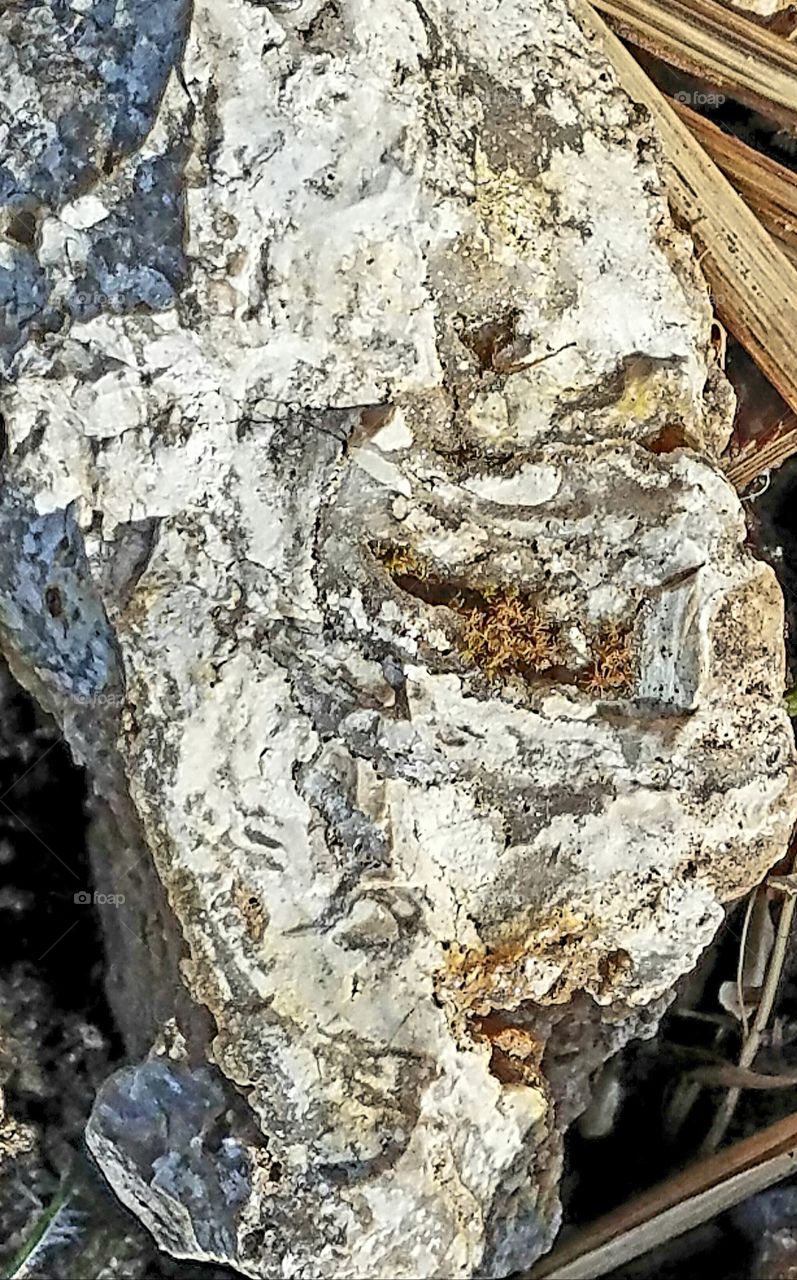 What can we Really see in a Rock