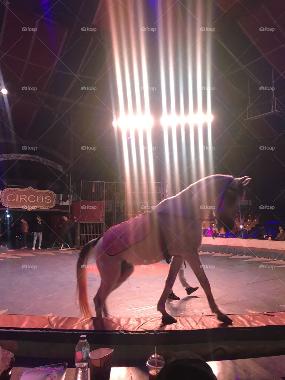 circus