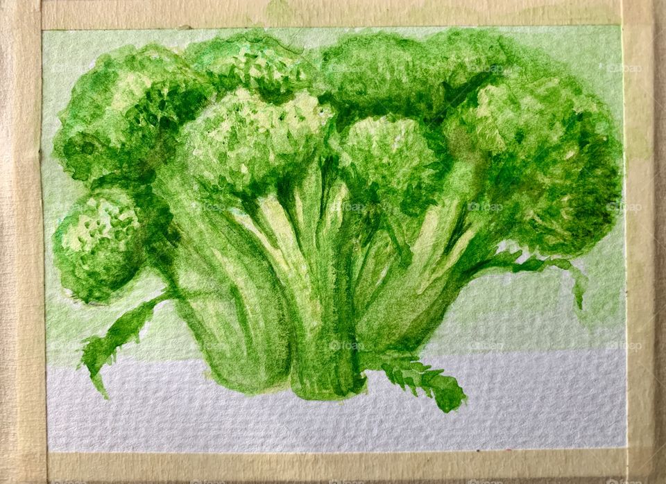 Overhead view of a miniature watercolor photo of broccoli, mounted  with masking tape