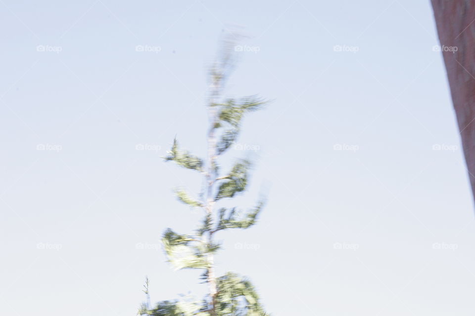 motion blur against the sky