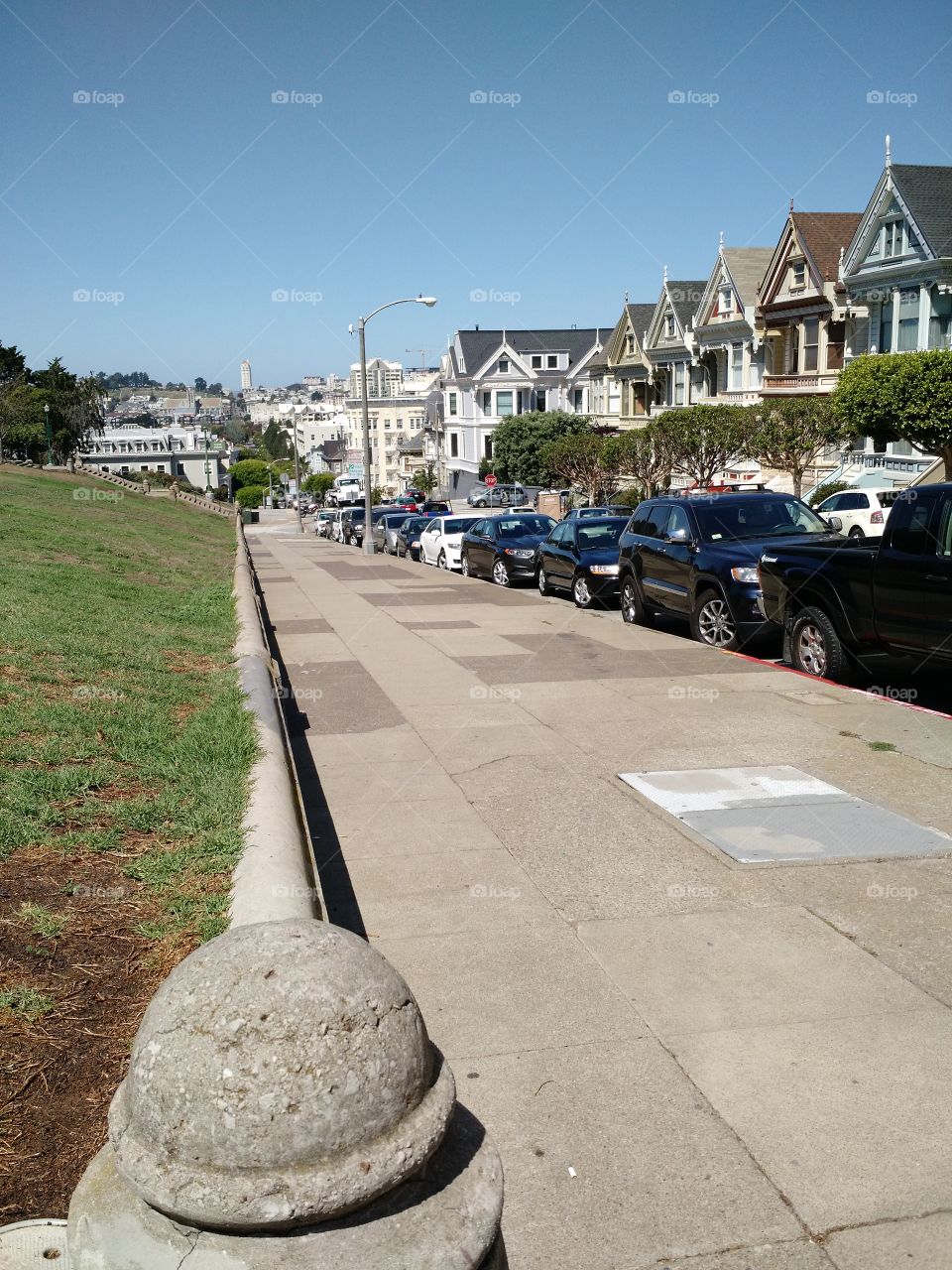 7 painted ladies. I'm a full house fan