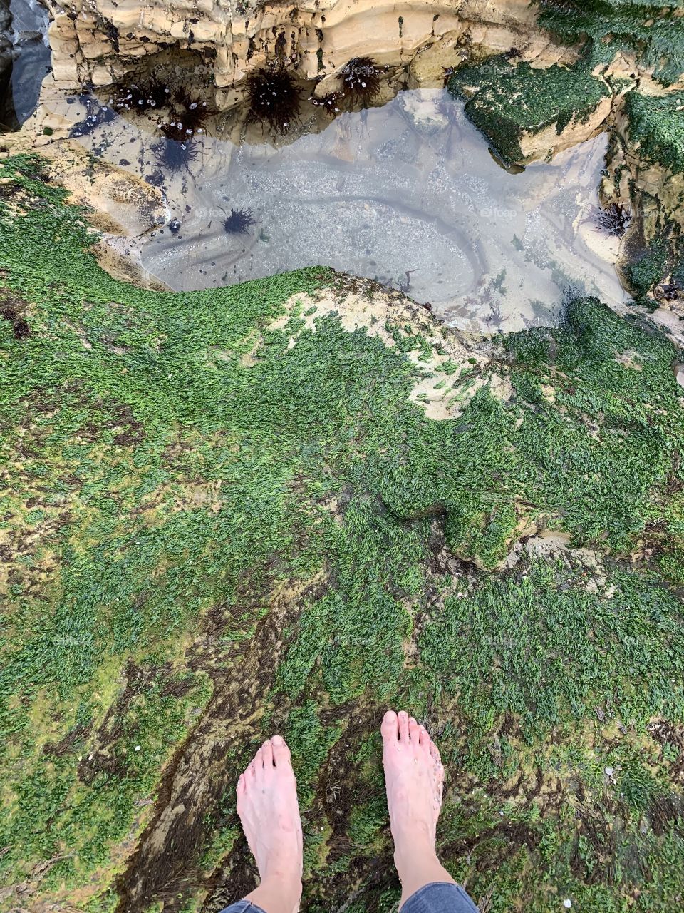 Feet moss rock ocean
