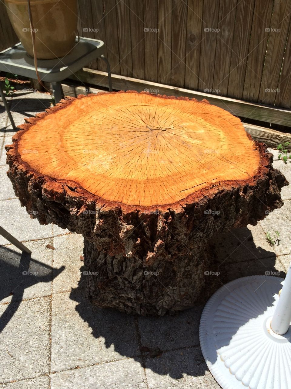 Treetop table