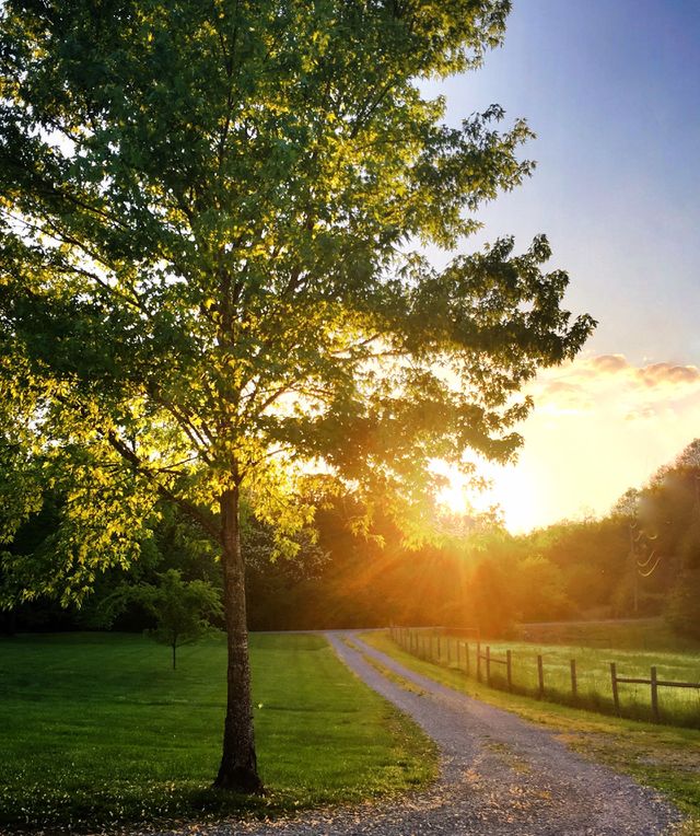 Sunset