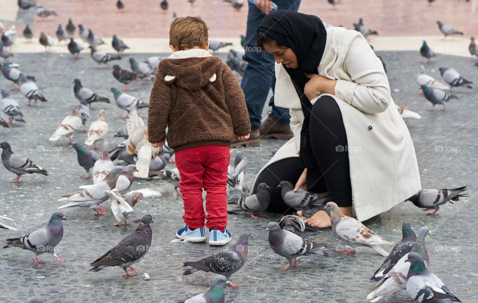 Mother, Son and Pigeons