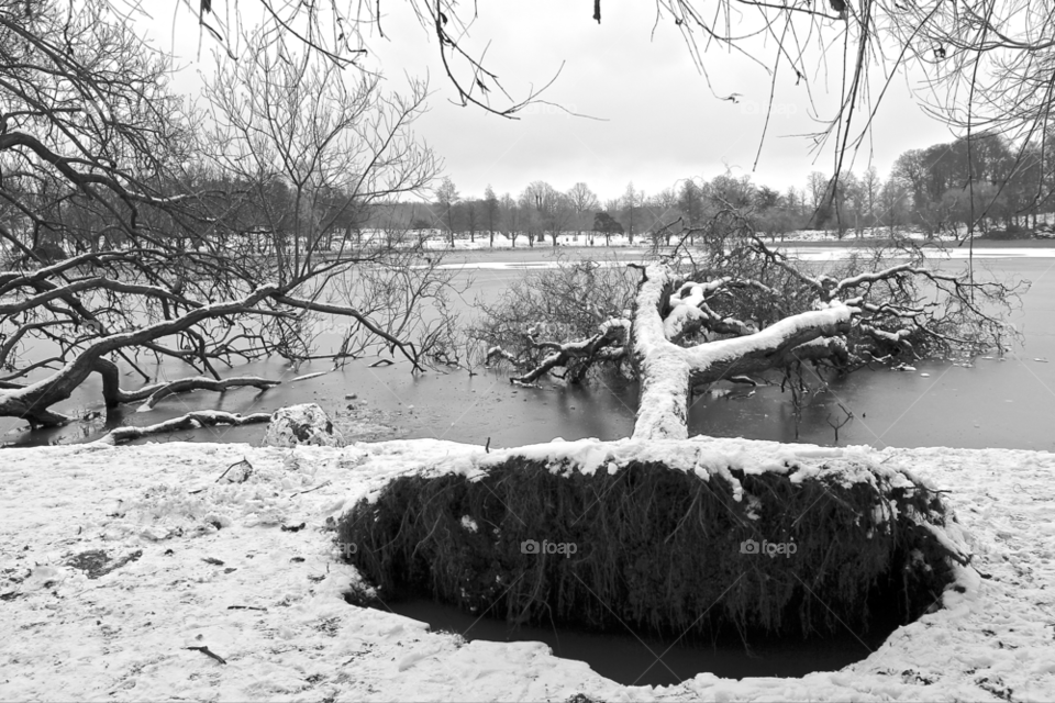 snow winter landscape trees by wickerman6666