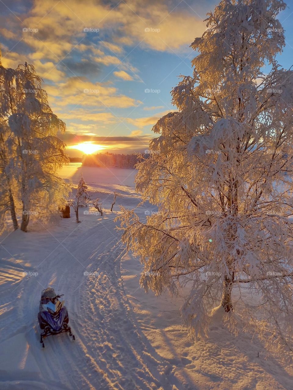 Frosty morning