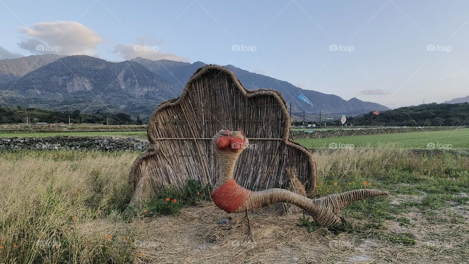 beautiful botanical shot, natural wallpaper
