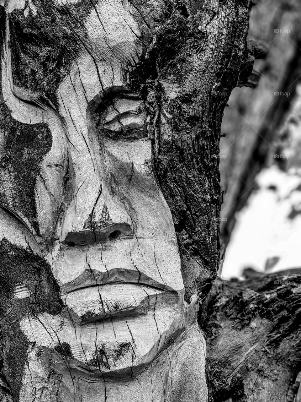 someone carved this amazing face out of a  fallen log in the park love the feeling it radiates